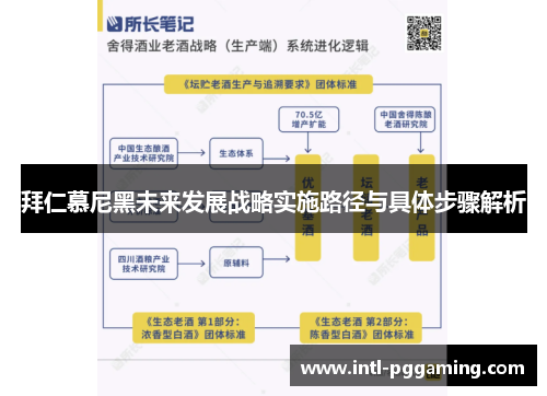 拜仁慕尼黑未来发展战略实施路径与具体步骤解析
