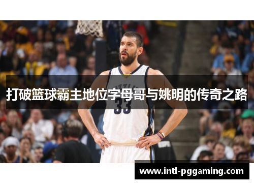 打破篮球霸主地位字母哥与姚明的传奇之路