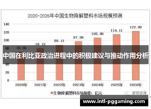 中国在利比亚政治进程中的积极建议与推动作用分析