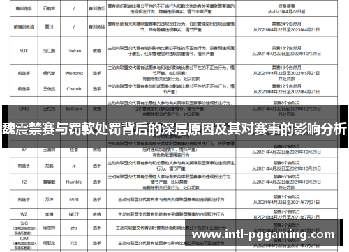 魏震禁赛与罚款处罚背后的深层原因及其对赛事的影响分析