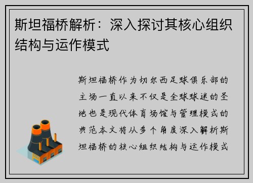 斯坦福桥解析：深入探讨其核心组织结构与运作模式